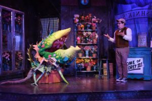 Ramiro Garcia, Jr. As Seymour in Little Shop of Horrors. Photo provided courtesy of San Diego Musical Theatre.